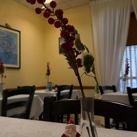 Vittoria